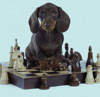 dog games