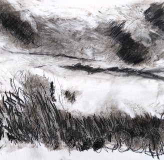 Paysage imaginaire 130525 - Fusain sur papier - 65X50 - 2025
