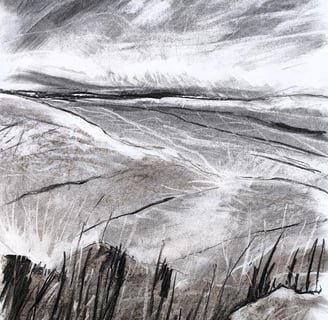 Paysage imaginaire 200525 - Fusain sur papier - 65X50 - 2025