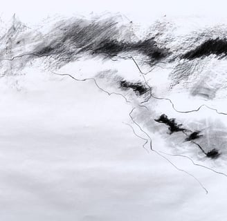 Paysage imaginaire 220625 - fusain sur papier - - 65X50 - 2025