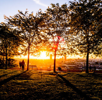 Vue de la ville de Lyon au coucher du soleil