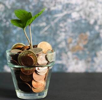 a plant growing out of a glass jar with coins
