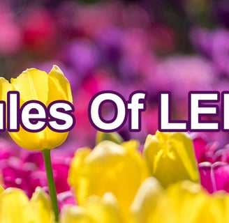 Rules of Lent