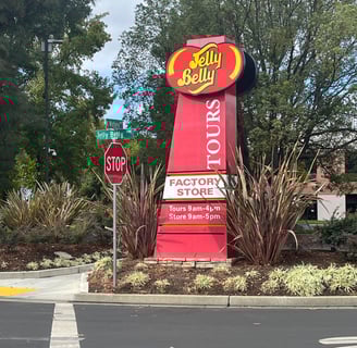 dog friendly places to go in Fairfield CA