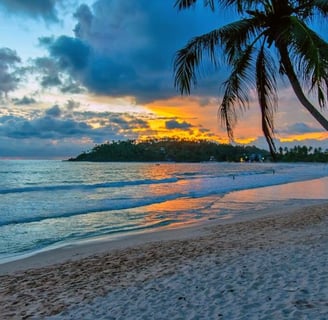Arugam Bay