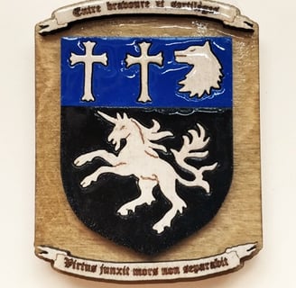 Engraved laser medieval magnets 3D