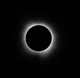 The solar eclipse at 100% totality. Photo by Taylor Pleasant