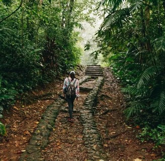 a man walking up a path in the jungle