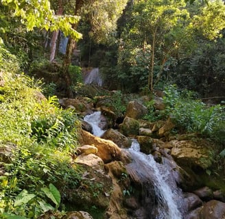 a waterfall in the middle of a forest