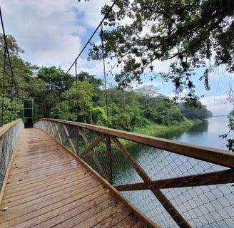 a bridge with a suspension bridge over a river