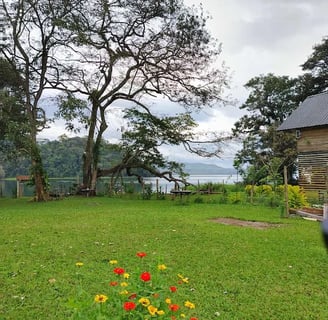 a dog is standing in the grass near a house lago de yojoa