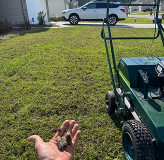 Aerator plugs in Guyton, GA