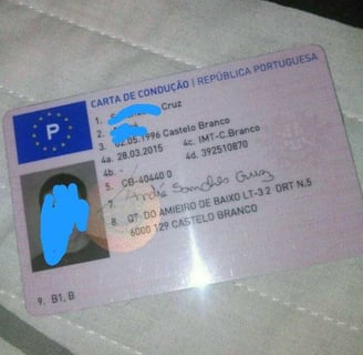 permis de conduire polonais, Polskie prawo jazdy