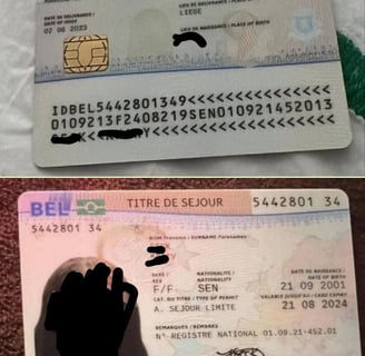 titre de séjour belge, Belgian residence permit