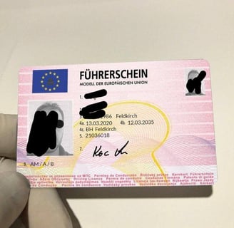 permis de conduire autrichien, österreichischer Führerschein, Austrian driving license