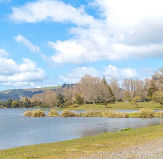 A serene lakeside in Tokoroa, New Zealand, featuring calm waters and lush greenery.