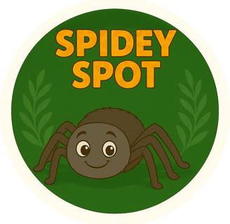 Spidey Spot - spider-themed finds for curious minds