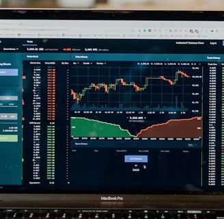 Image of a computer monitor for a MacBook Pro displaying financial information.