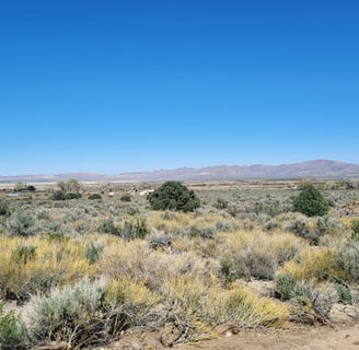 10 acres of land recently sold for $150,000 by Walker River Basin Realty.