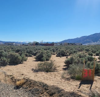 5 acres of land recently sold for $85,000 by Walker River Basin Realty.