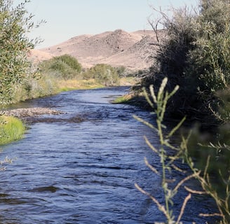 Photo of the Walker River located in Mason Valley, Nevada.