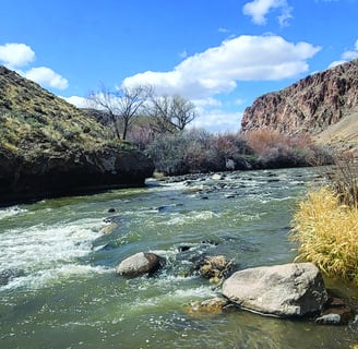 Photo of the Walker River located in Smith Valley, Nevada
