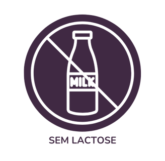 Sem Lactose Mr. Fit Prudente