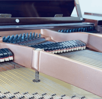 A photo of the hammers and strings on the inside of a grand piano.