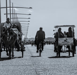 Thessaloniki Tuktuk Bicycle and horses in one picture