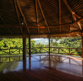 yogashala overlooking jungle