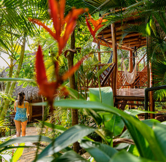 walking to the wooden bungalow through the tropical garden of Eden 
