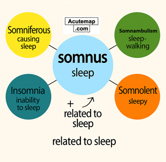 Somnus root word, Word Power Made easy