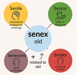 senext root word vocabulary, word power made easy  