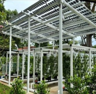 Agrivoltaics Vertical Farming
