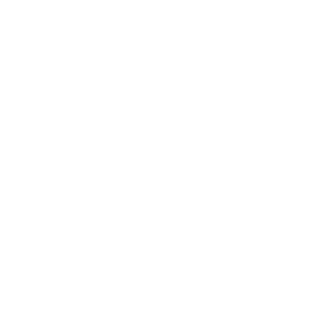 Practitioner Logo