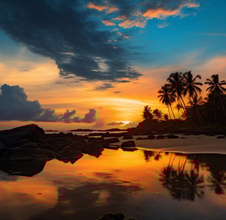 Tropical Paradise at Pelican Beach | Tropical Paradise at Pelican Beach