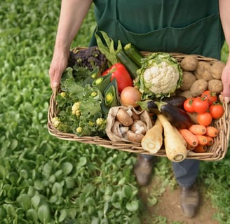 Alimentos limpos