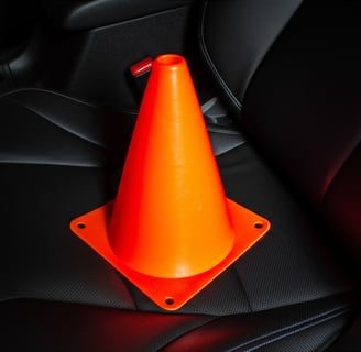 Traffic cone in the backseat of a car