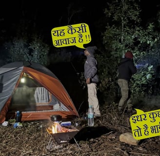 Night Camping In Deep Forest