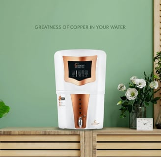 Water Purifier in Kalapatti