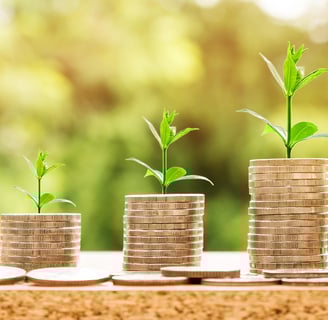 Return on investment or ROI