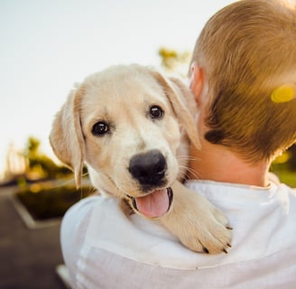 boy holding puppy who looks at camera over boys shoulder