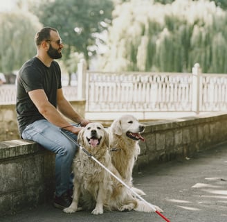 a man with a cane and two golden retrievers