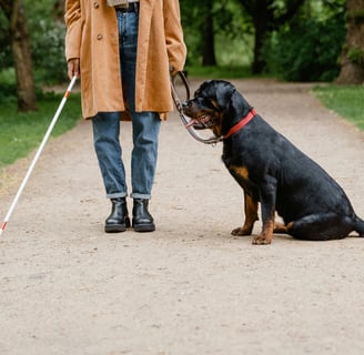 a dog sitting on a leash while a man walks with a cane