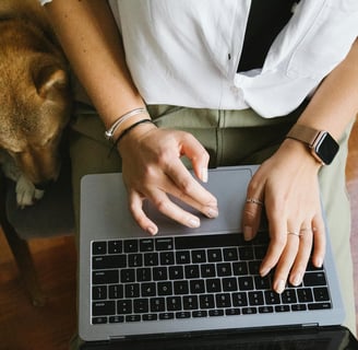 overhead shot of a person on a computer and a dog sitting beside them