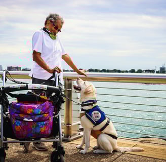 a person with a wheelchair and a service dog