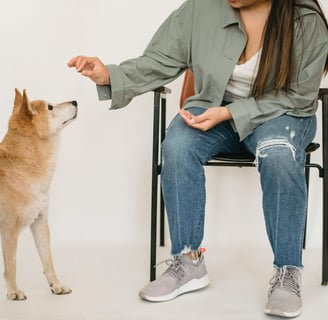 person sitting in a chair holding out a treat for the dog beside them