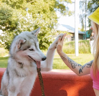 woman with tattoos and a gray husky high fiving