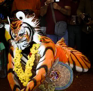 krishna janmashtami in udupi - tiger dance