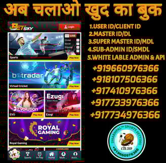 BET SKY ID /MASTER ID / SUPER MASTER ID /SUB-ADMIN/ADMIN ID /AGENT ID/PANEL ID AVAILABLE 